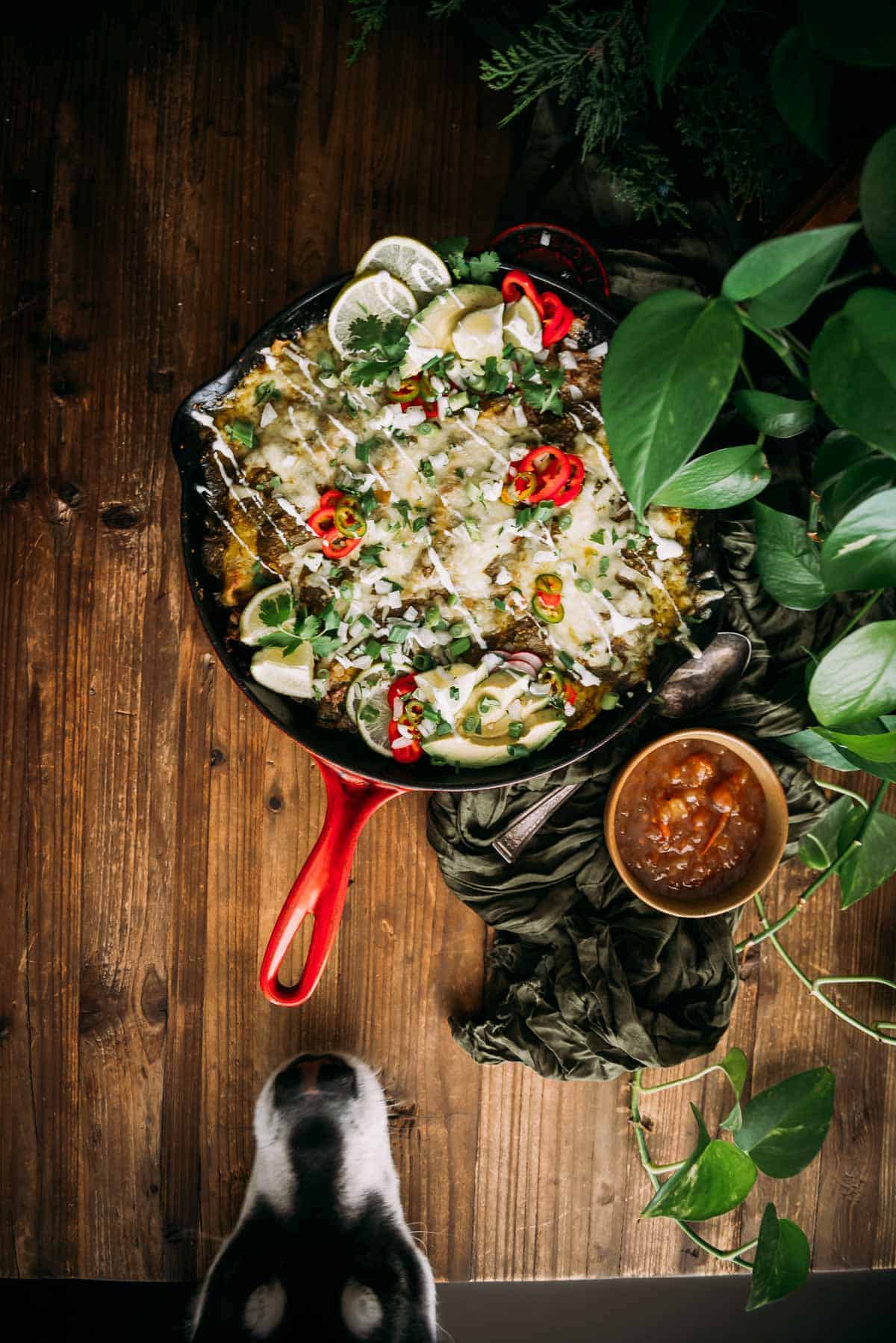 Uma frigideira de enchiladas cobertas com queijo, pimenta e rodelas de limão sobre uma mesa de madeira, com uma cabeça de cachorro parcialmente visível abaixo.