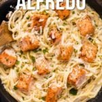 Uma frigideira recheada com salmão cremoso Alfredo coberto com pedaços de salmão cozido, guarnecido com salsa e queijo parmesão.